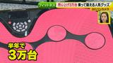 画像35: 普通触りませんが、触ってもいい扇風機