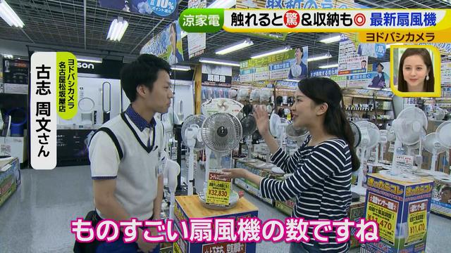 画像2: 普通触りませんが、触ってもいい扇風機 など最新家電