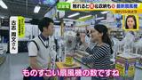 画像2: 普通触りませんが、触ってもいい扇風機