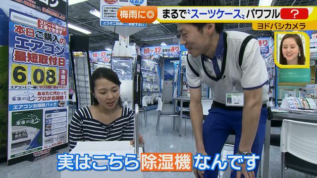画像31: 普通触りませんが、触ってもいい扇風機 など最新家電