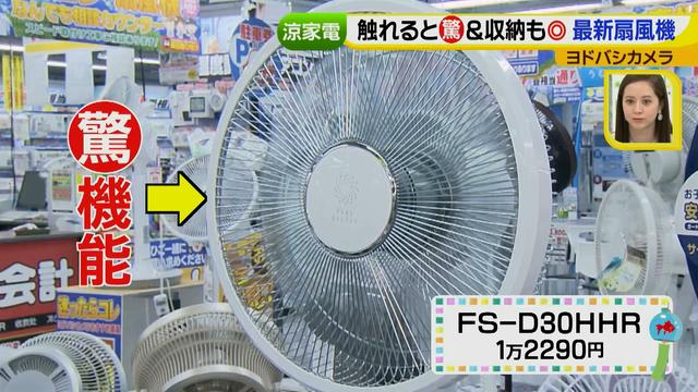 画像10: 普通触りませんが、触ってもいい扇風機 など最新家電