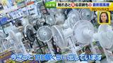 画像3: 普通触りませんが、触ってもいい扇風機