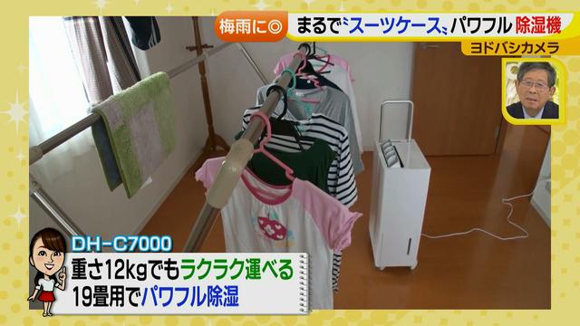 画像33: 普通触りませんが、触ってもいい扇風機 など最新家電