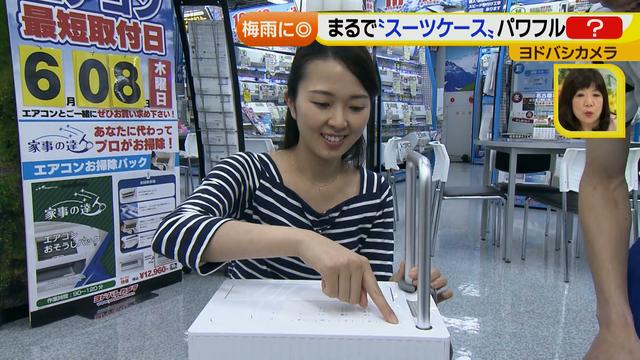 画像28: 普通触りませんが、触ってもいい扇風機 など最新家電