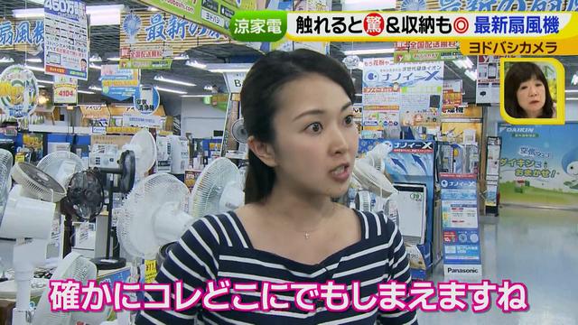 画像19: 普通触りませんが、触ってもいい扇風機 など最新家電