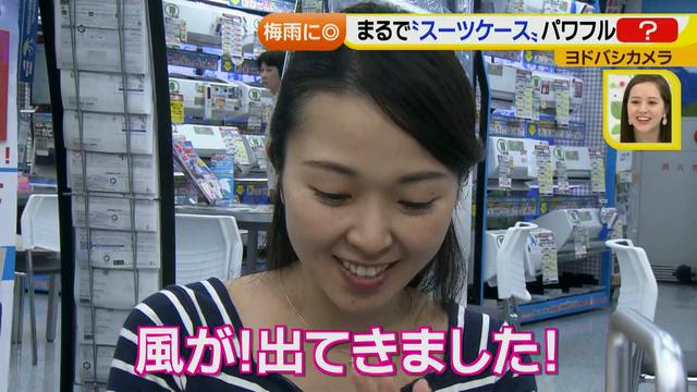 画像30: 普通触りませんが、触ってもいい扇風機 など最新家電