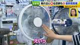 画像12: 普通触りませんが、触ってもいい扇風機