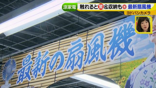 画像4: 普通触りませんが、触ってもいい扇風機 など最新家電