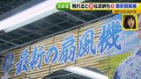 画像4: 普通触りませんが、触ってもいい扇風機