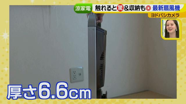 画像20: 普通触りませんが、触ってもいい扇風機 など最新家電