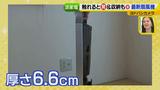 画像20: 普通触りませんが、触ってもいい扇風機