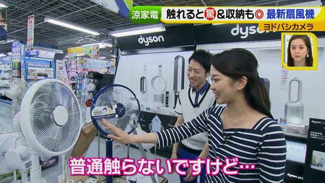 画像11: 普通触りませんが、触ってもいい扇風機 など最新家電