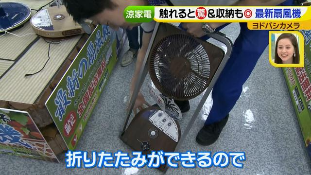 画像17: 普通触りませんが、触ってもいい扇風機 など最新家電