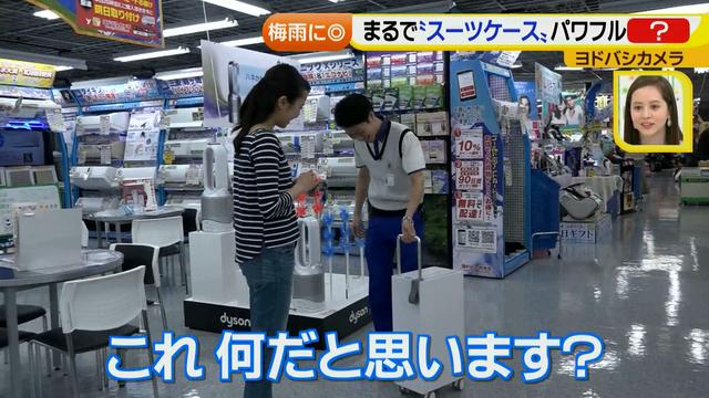 画像22: 普通触りませんが、触ってもいい扇風機 など最新家電