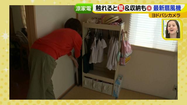 画像21: 普通触りませんが、触ってもいい扇風機 など最新家電