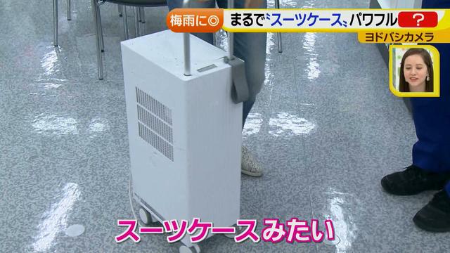 画像23: 普通触りませんが、触ってもいい扇風機 など最新家電