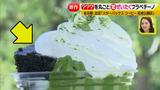 画像10: 大人気スタバの夏フラペ