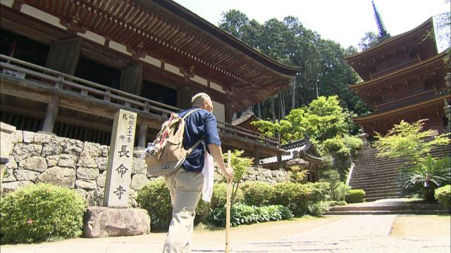 画像2: 癒しの風景 湖の孤島 滋賀・近江八幡の旅