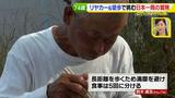 画像39: 74歳冒険者の言葉、とても心にしみます・・