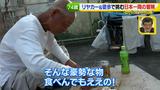 画像38: 74歳冒険者の言葉、とても心にしみます・・