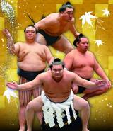 画像: 大相撲秋巡業のチケット発売!一宮場所&高山場所