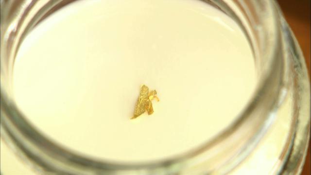 画像9: 今昔の東海道に思いを馳せて 三重・四日市市の旅