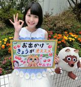 画像: 最近、スーパーにさくらんぼが並んでいますね♪ 東海地方でも、飛騨高山の諏訪果樹園など さくらんぼ狩りのできる所がありますよ! おでかけの参考になさってください(*^_^*)