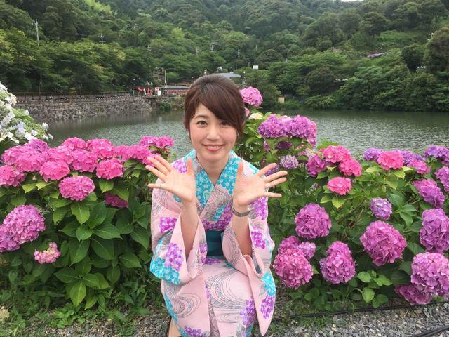 画像: 紫陽花