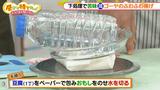 画像5: 夏が旬のケンタ流 ゴーヤ料理レシピ