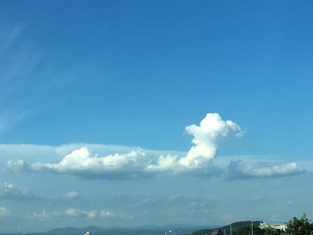 画像: 鈴木しおり、夏の思い出