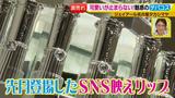 画像8: 可愛いが止まらない!魅惑のデパコス