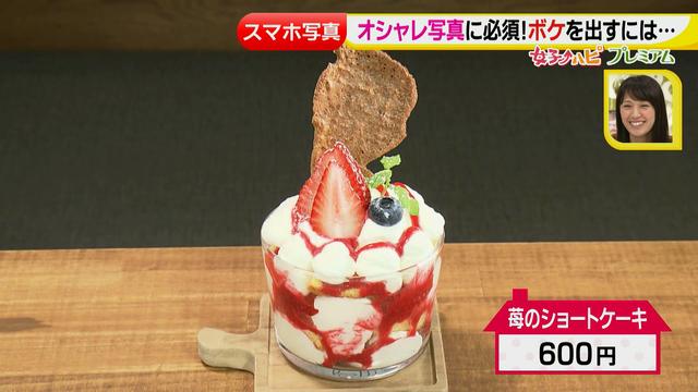 画像9: ■応用編■