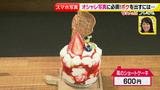 画像9: ■応用編■