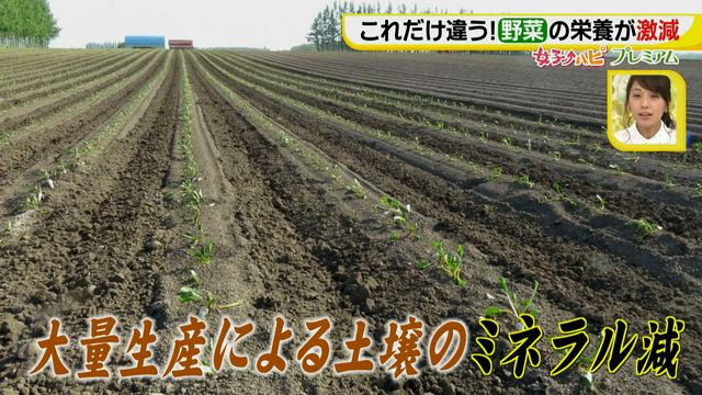 画像4: その調理、9割の栄養捨ててます!