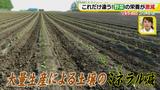 画像4: その調理、9割の栄養捨ててます!