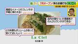 画像5: 7月オープン!全て1000円!週替わりの本格フレンチ!