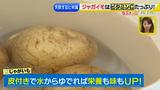画像21: その調理、9割の栄養捨ててます!