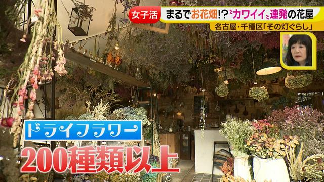 画像3: ジョシ活!かわいい話題のお店で花インテリア作り♡