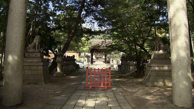 画像5: 東海道と中山道追分の宿場町 滋賀・草津市の旅