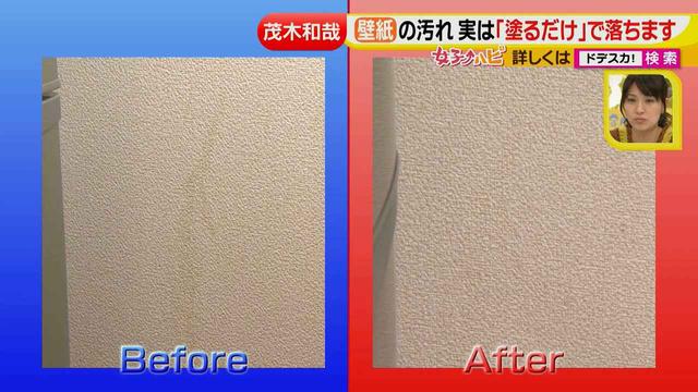 画像45: 洗剤職人のラク掃除テクニックを大公開!