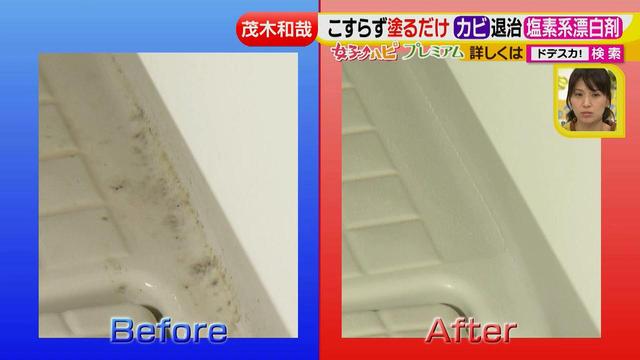 画像13: 洗剤職人のラク掃除テクニックを大公開!
