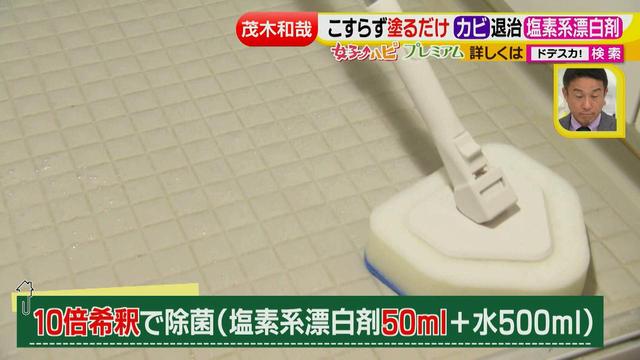 画像11: 洗剤職人のラク掃除テクニックを大公開!