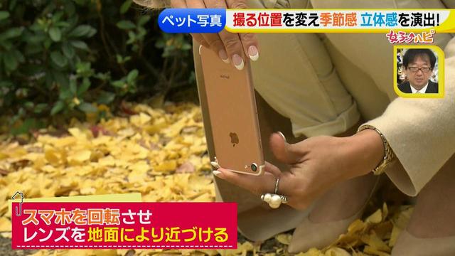 画像22: スマホ撮影術!よりかわいくより楽しそうに♪ 数秒で年賀状が完成!?
