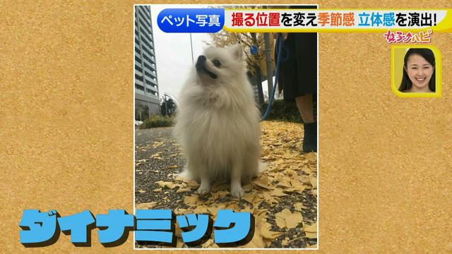 画像23: スマホ撮影術!よりかわいくより楽しそうに♪ 数秒で年賀状が完成!?