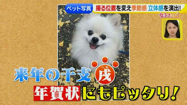 画像24: スマホ撮影術!よりかわいくより楽しそうに♪ 数秒で年賀状が完成!?