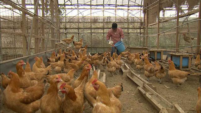画像8: 深き歴史の面影残す町 愛知・東浦町の旅