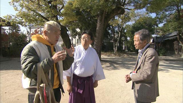 画像4: 深き歴史の面影残す町 愛知・東浦町の旅