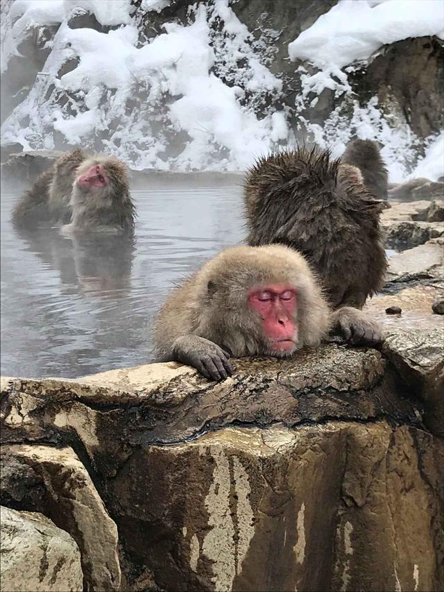 画像: 気持ち良さそう…