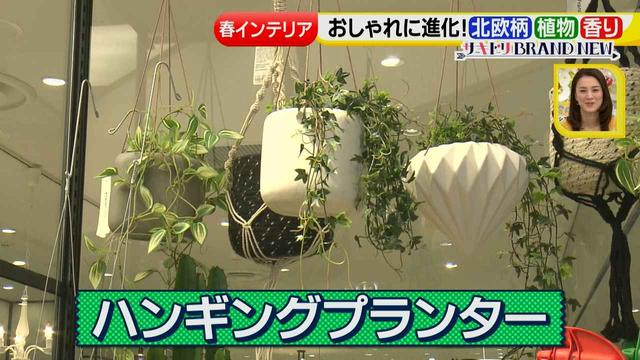 画像7: おしゃれに進化したインテリア小物で春をサキドリ♪