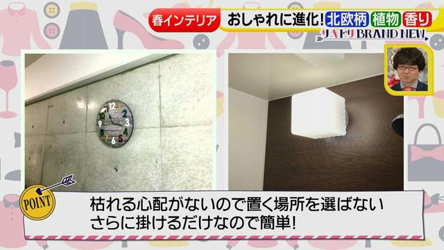 画像9: おしゃれに進化したインテリア小物で春をサキドリ♪